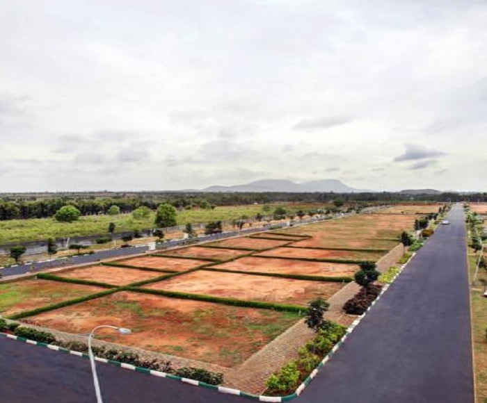 Green Vista